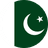 Pakistan's logo