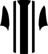 Newcastle United's logo
