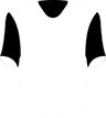 Berekum Chelsea's logo