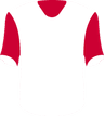 JS Saoura's logo
