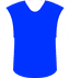 Worcester City's logo