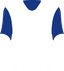 Hamburger SV's logo