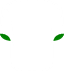 Elche CF's logo